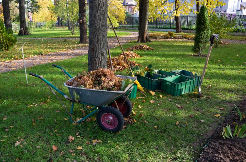 Lakefront Property Clearing in Salt Lake City, UT
