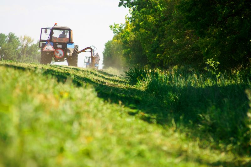 Pasture Clearing in Gwinnett County, GA