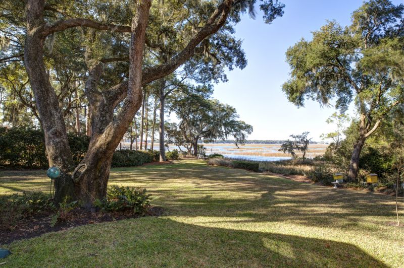 Brush Clearing Service in Cumming, GA
