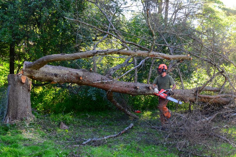 Products For Residential Tree Removals in use