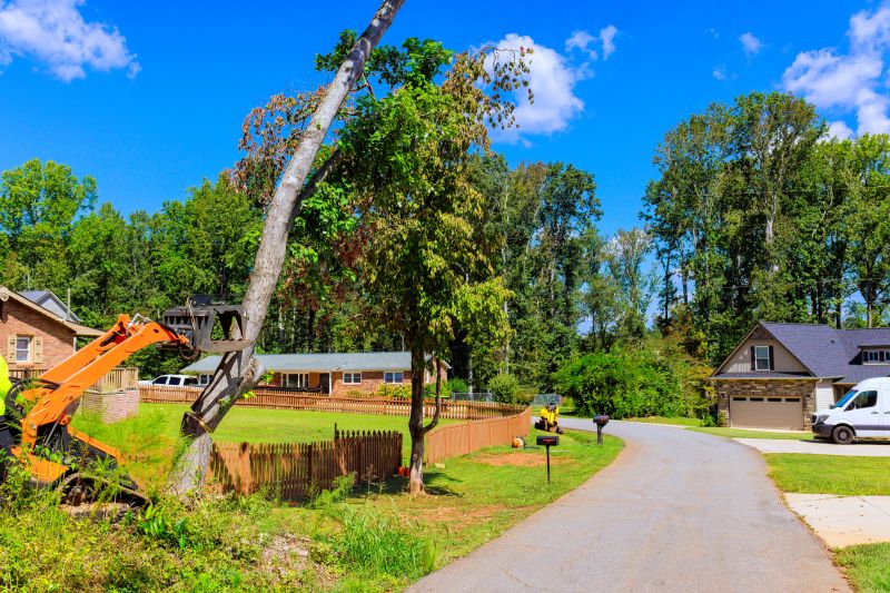 Residential Tree Removal