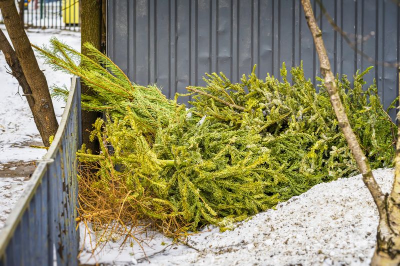 Tree Removal in Winter